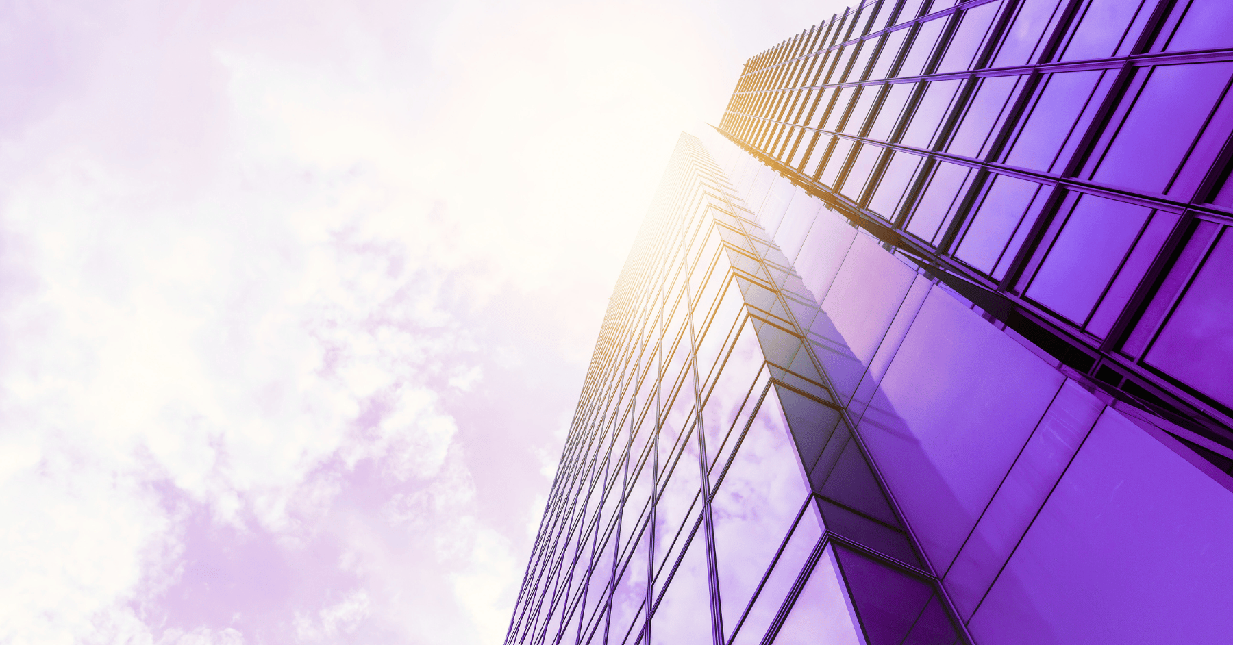 Procurement for Private Equity