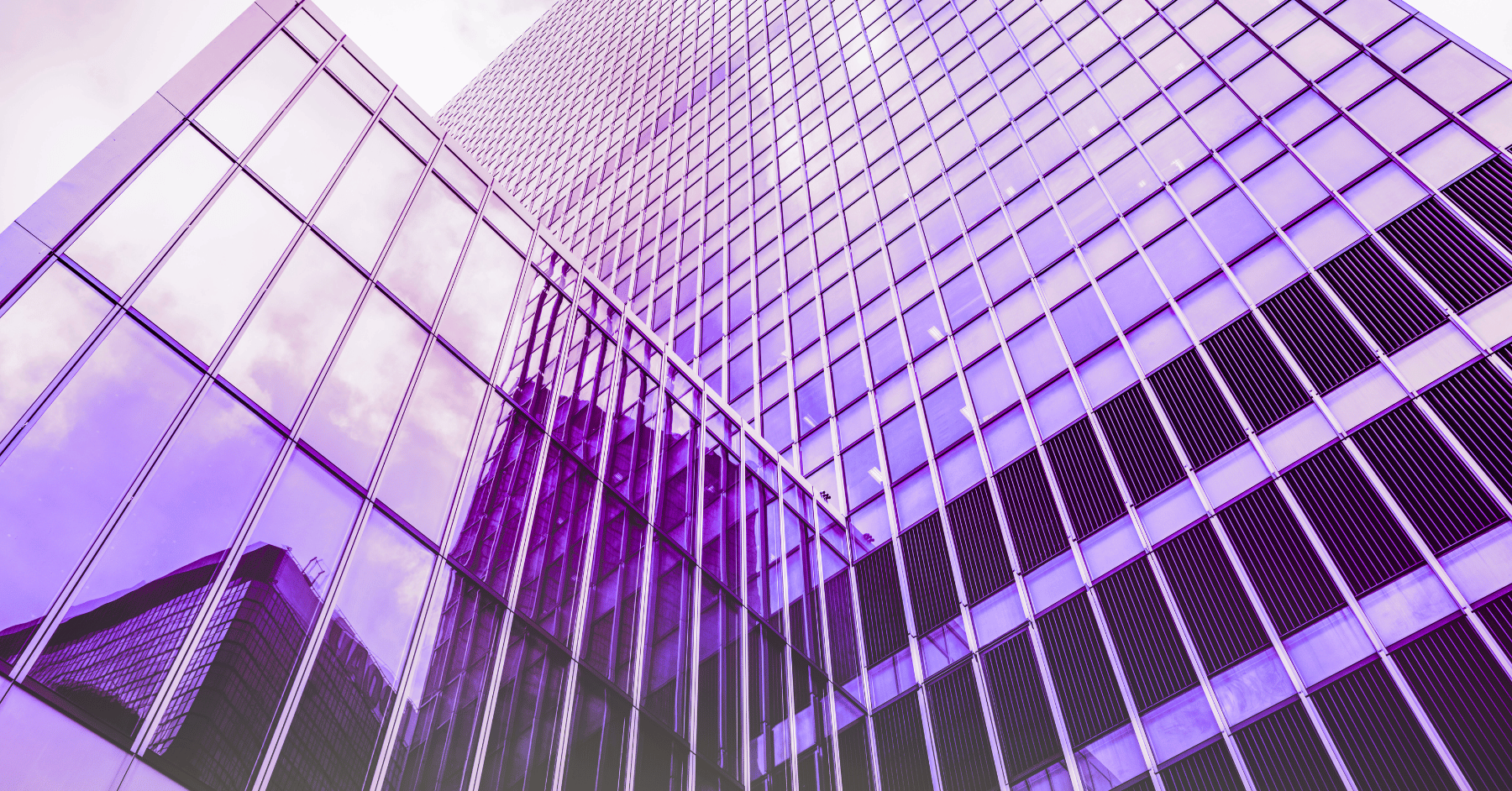 Why Private Equity Portfolios Need Purpose-Built Procurement Solutions